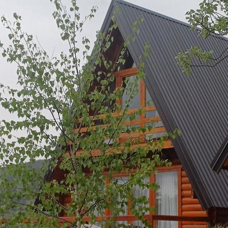 Villa Wood Borje Zabljak  Exterior photo