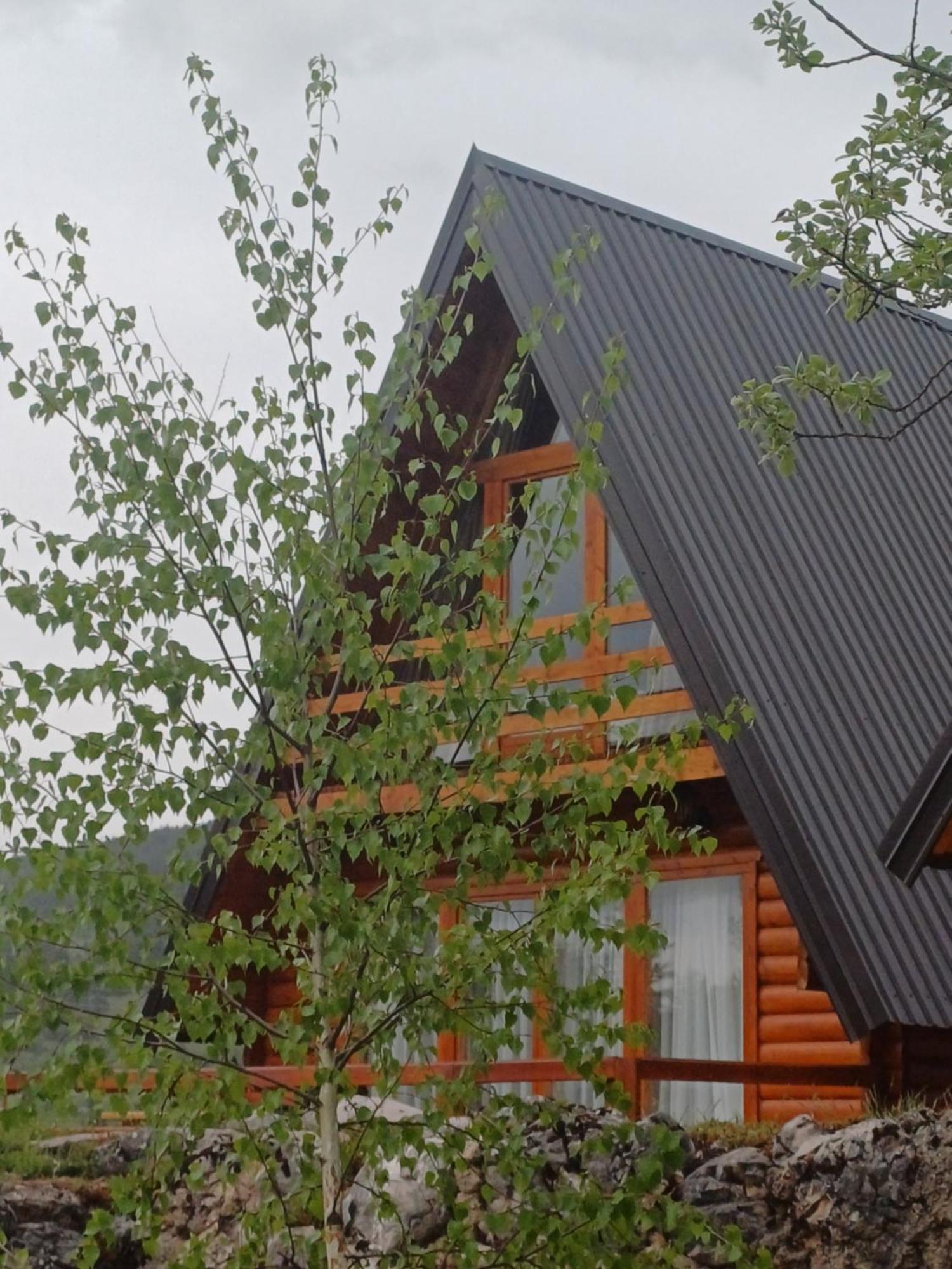 Villa Wood Borje Zabljak  Exterior photo